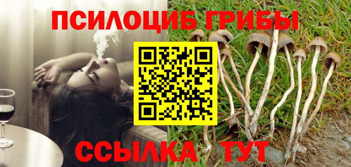Нефтекумск  Псилоцибиновые грибы Cubensis  дарнет шоп  Вход с VPN  Псилоцибиновые грибы GOLDEN TEACHER 