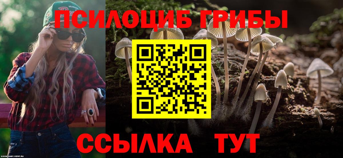 Псилоцибиновые грибы прущие грибы Нефтекумск